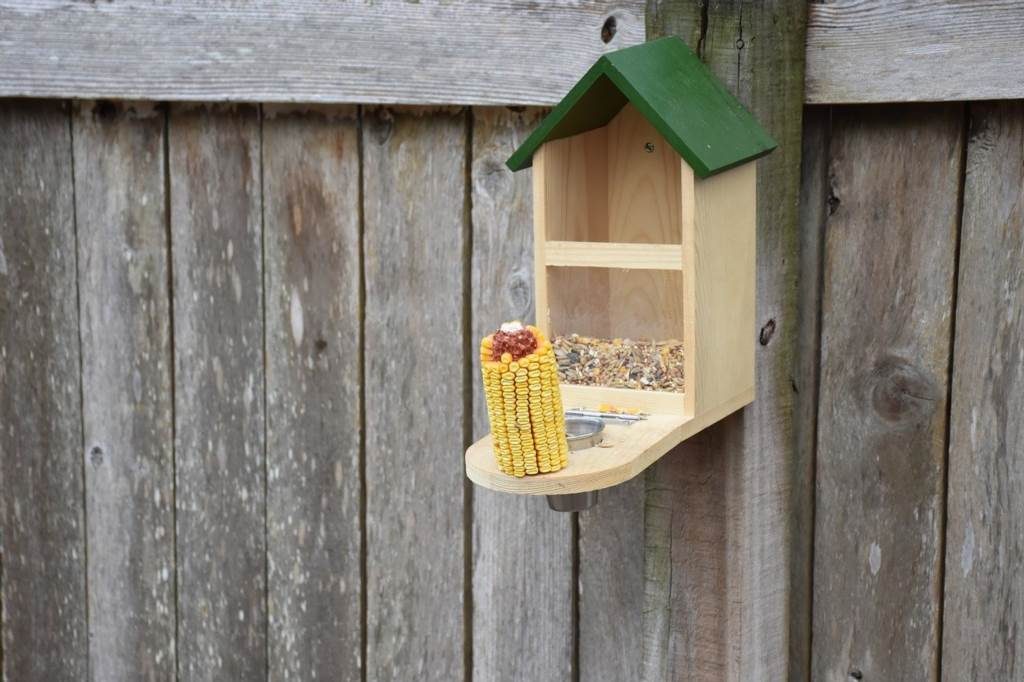 jak zrobić domek dla pszczoły murarki