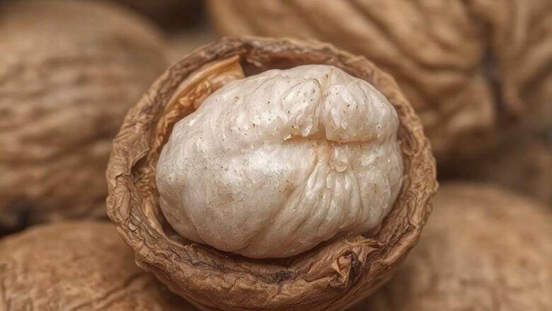 Jak rozłupać twarde orzechy włoskie: Skuteczne metody krok po kroku