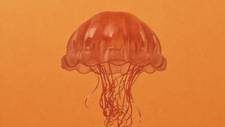 Galaretka w pomarańczy – owocowy deser pełen smaku